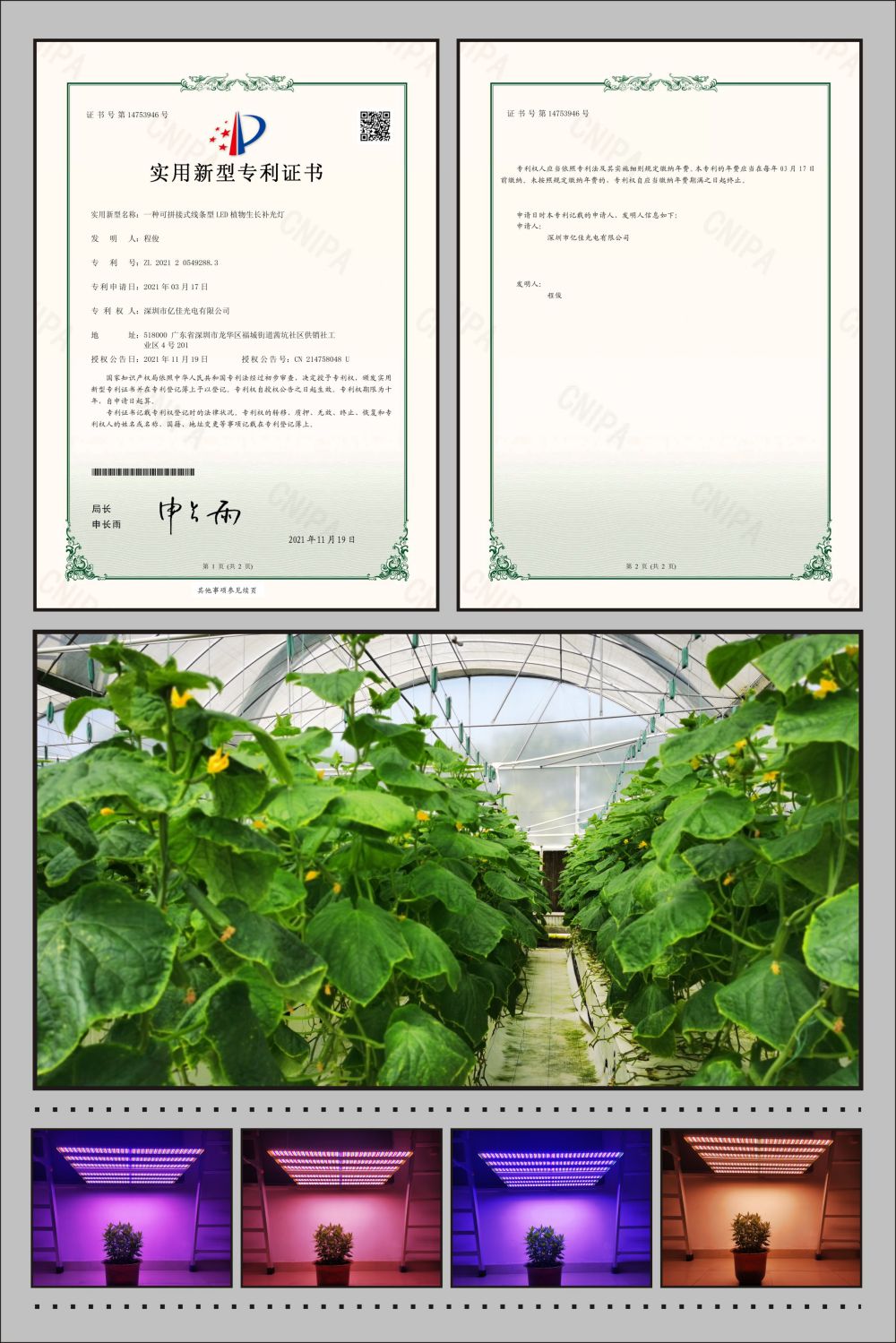 宝运莱官方网站植物农场灯实用新型专利